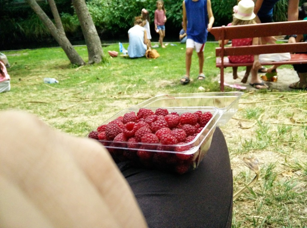 Raspberries on the lawn of the Christchurch Riccarton Bush farmers market